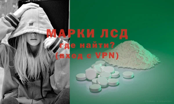 индика Лабытнанги