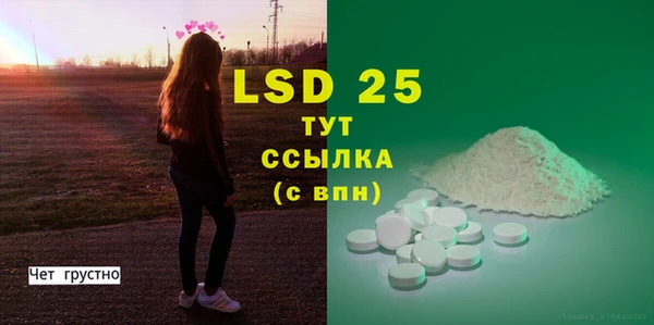 индика Лабытнанги