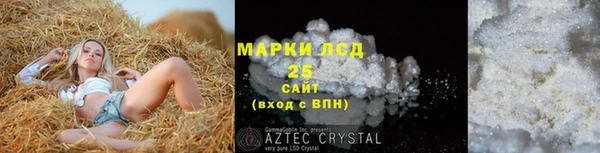 индика Лабытнанги