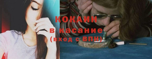 индика Лабытнанги