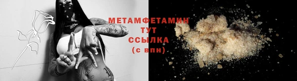 индика Лабытнанги