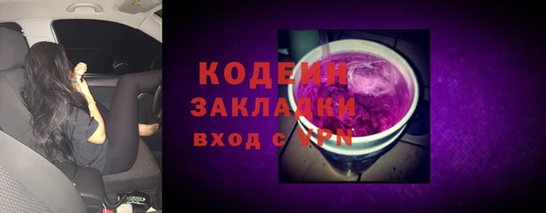 индика Лабытнанги