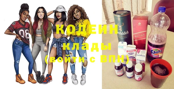 индика Лабытнанги