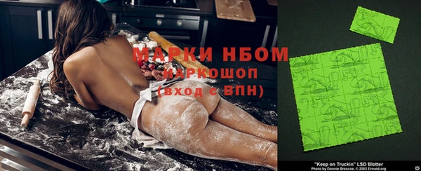 индика Лабытнанги