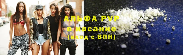 индика Лабытнанги
