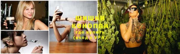 индика Лабытнанги