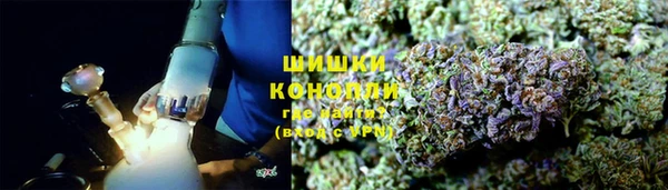 индика Лабытнанги