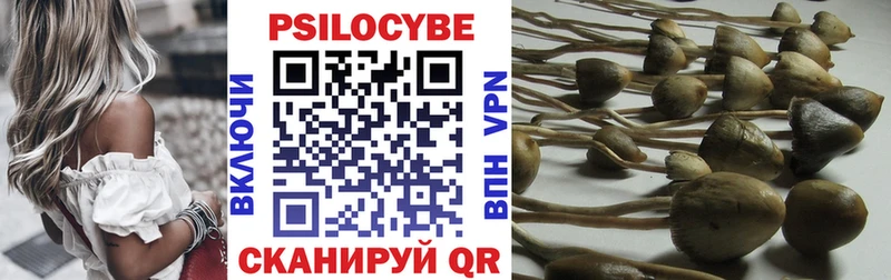 ссылка на мегу как войти  Волгодонск  Псилоцибиновые грибы ЛСД 