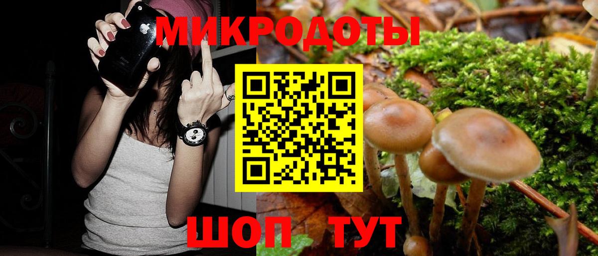 Псилоцибиновые грибы прущие грибы Волгодонск