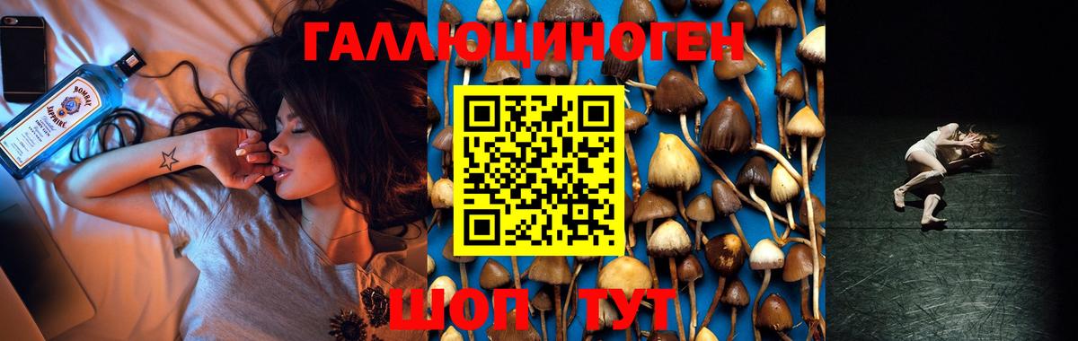 магазин    Галлюциногенные грибы Psilocybe  Вход с VPN  Волгодонск 